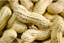 Samarth Bio Tech POP Ground Nut
