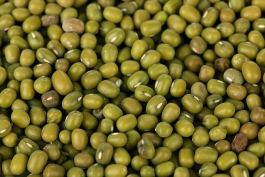 Samarth Bio Tech POP Green Gram