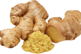 Samarth Bio Tech POP Ginger